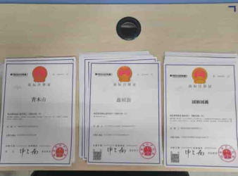 注冊公司 代理記賬公司注冊提供個體戶注冊、內資公司注冊服務